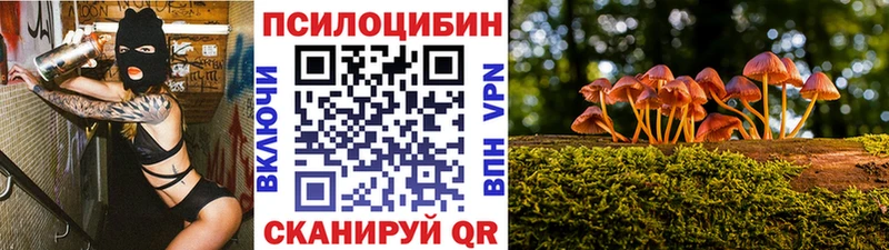 Псилоцибиновые грибы прущие грибы  закладки  Чулым 